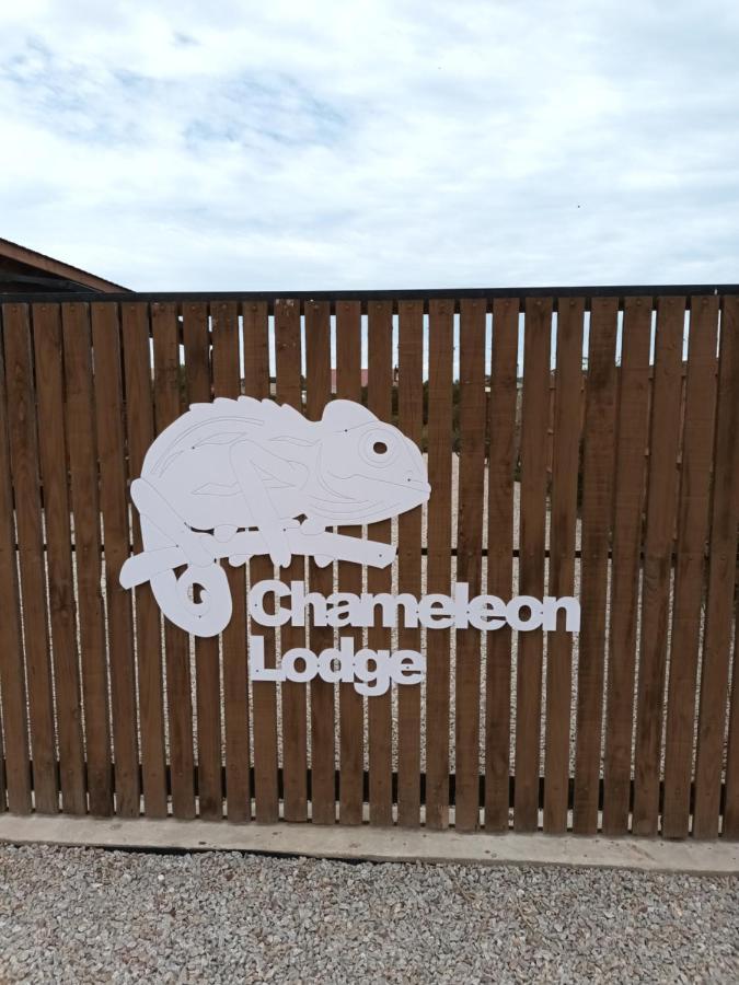 Chameleon Lodge كولشستر المظهر الخارجي الصورة