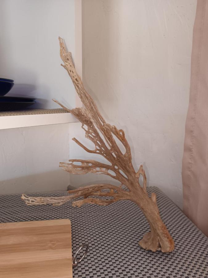 Chameleon Lodge كولشستر المظهر الخارجي الصورة