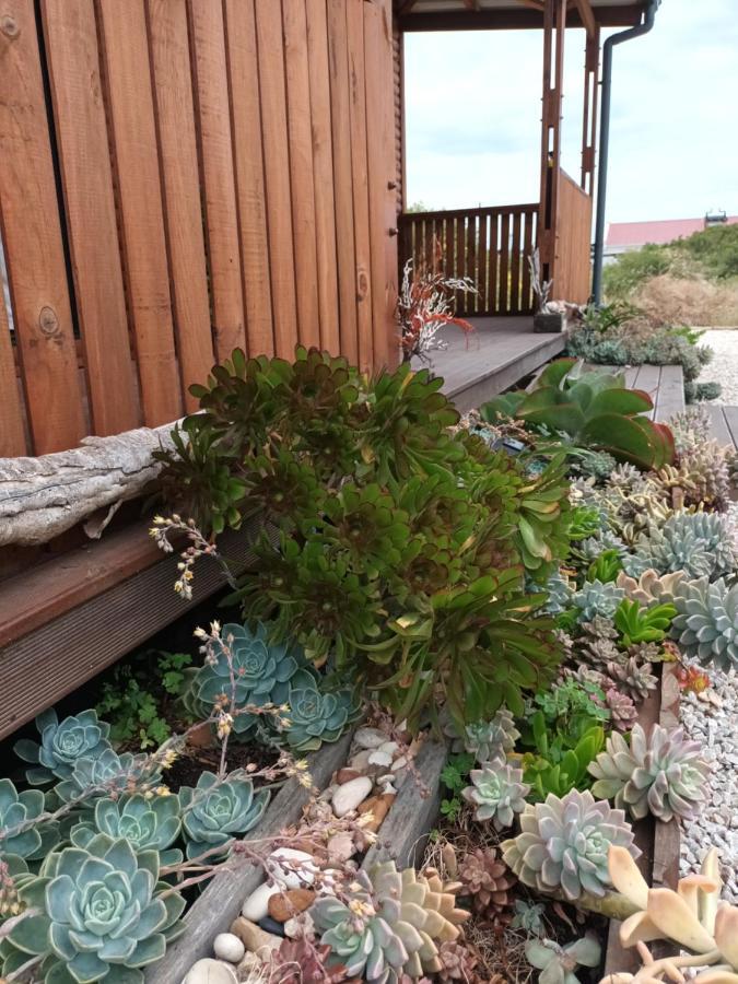 Chameleon Lodge كولشستر المظهر الخارجي الصورة